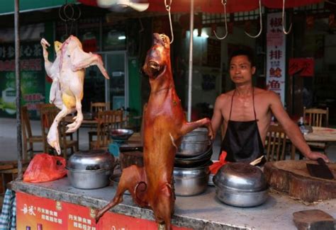   Yulin Hundrätter: Smaken av Traditionell Kinesiskt Kött möter den Krämiga Texturen av en Kryddig Wok-Sås!